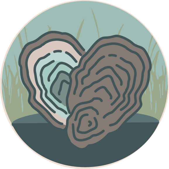 Oyster Logo